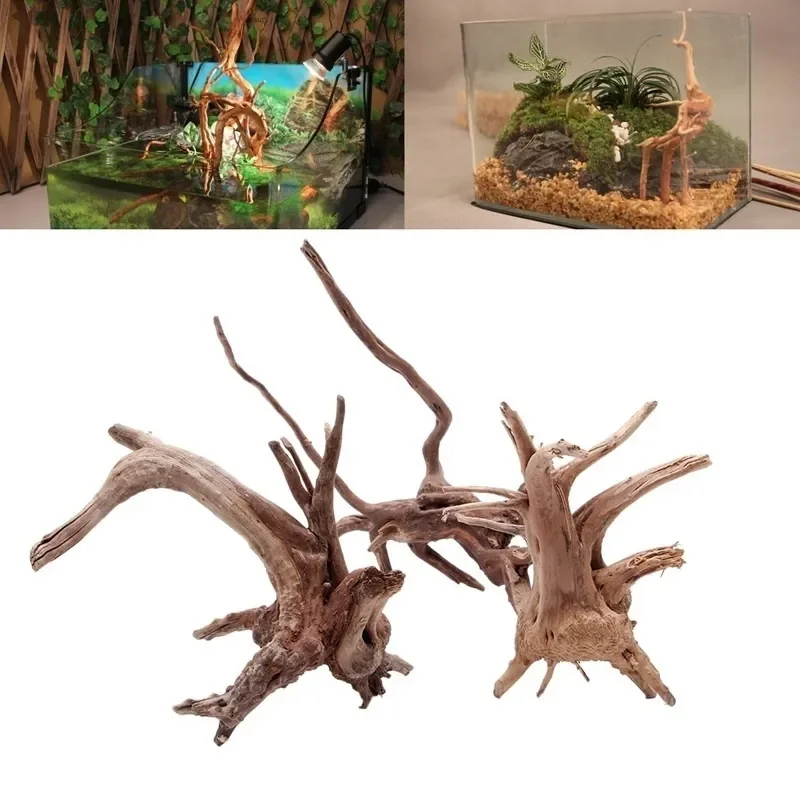 Aquarium Plants Live - 水族館、魚のタンク、爬虫類の根の植物、木の装飾、装飾アクセサリーのための自然な木のトランクの流木