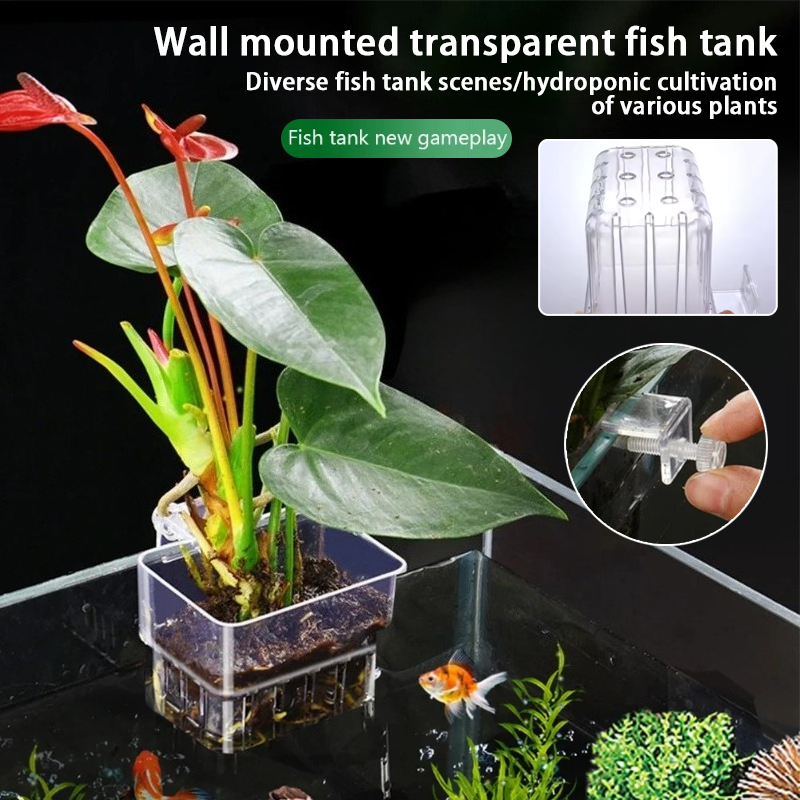 Plant Aquarium Pot - 水槽吊り下げプランターカップ 壁掛け水生植物ホルダー 水槽プランターバスケット 魚タンク植物ポット 魚タンク ペセドラ