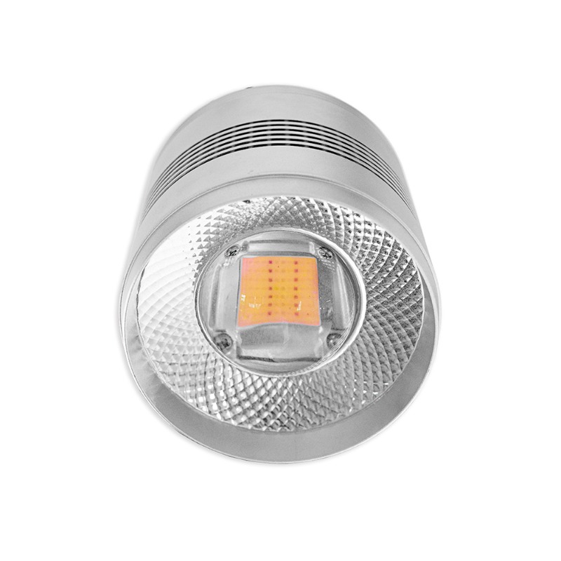 Planted Aquarium Algae Control - 70W LED水槽ライト、淡水水草水槽用、フルスペクトル、藻類抑制機能付き