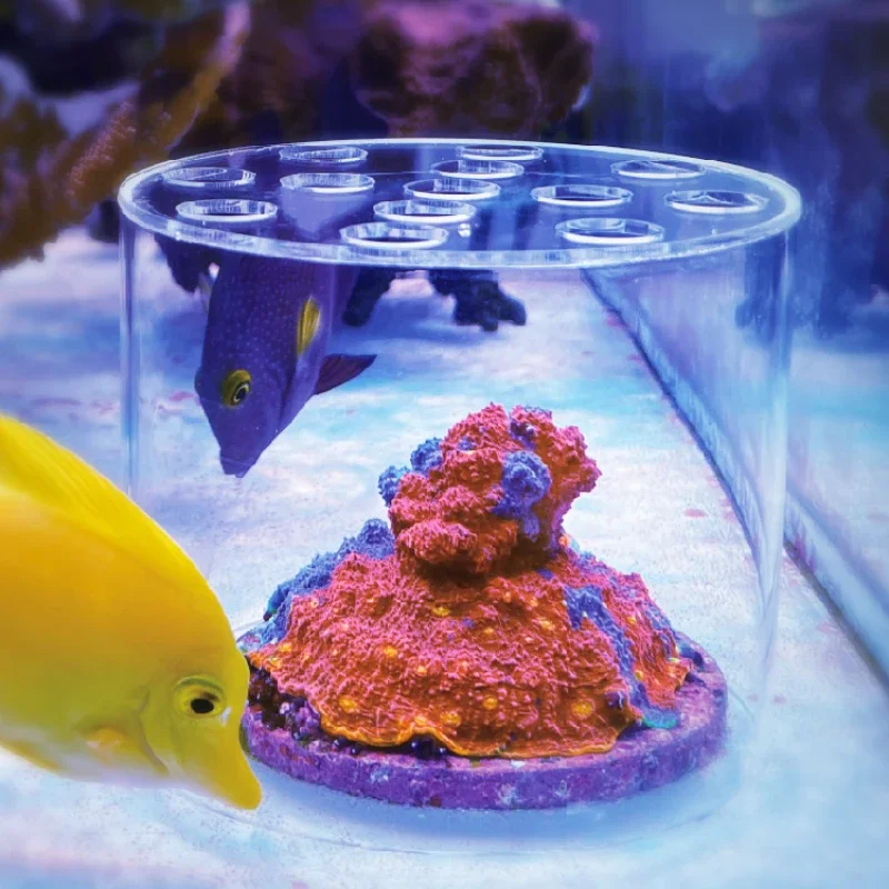 Aquarium Fertilizer - ヴァストオーシャン水族館 アクリル製サンゴフィーダーフード 液体肥料添加ツール リーフ淡水魚水槽用サンゴ給餌フード
