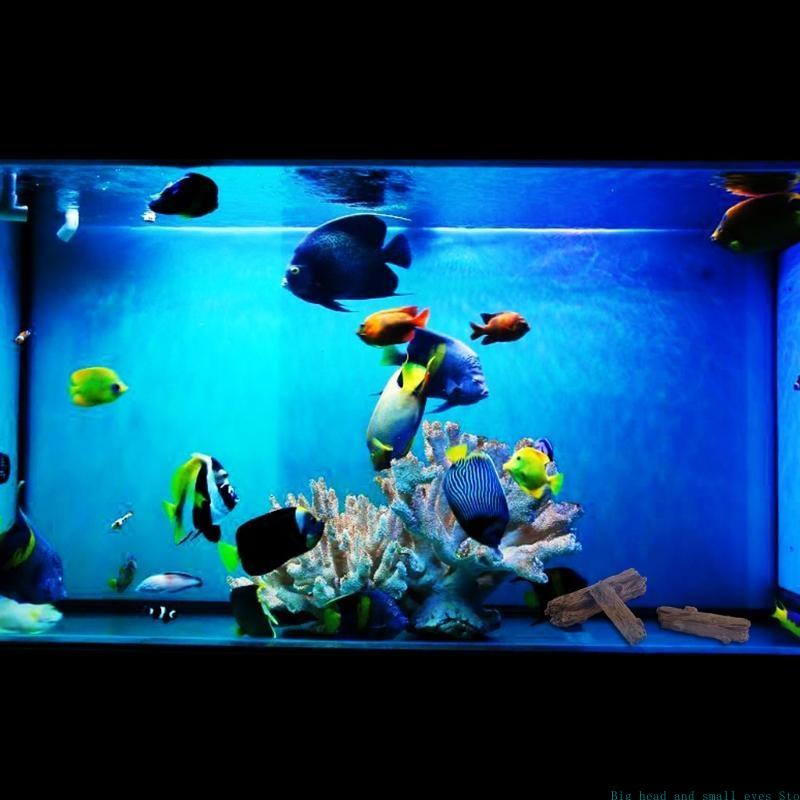 水族館の装飾木の幹ログプラスチック水族館の装飾品水槽の隠れ家 - Aquarium Plant Substrate のレビューと価格
