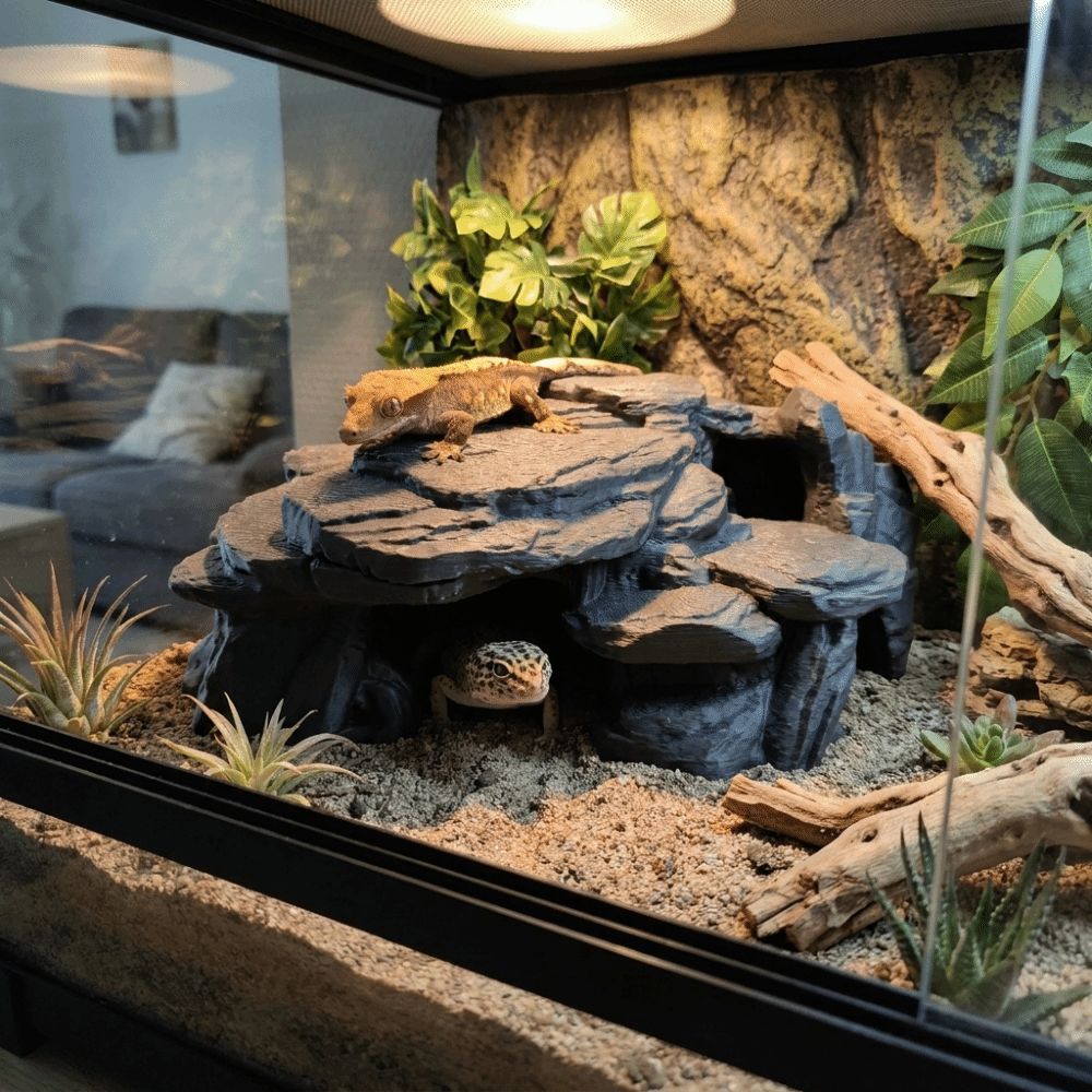 3Dプリント製水槽用岩飾り、リアルな質感の模擬岩、水槽用魚の - Aquarium Plants Live のレビューと価格