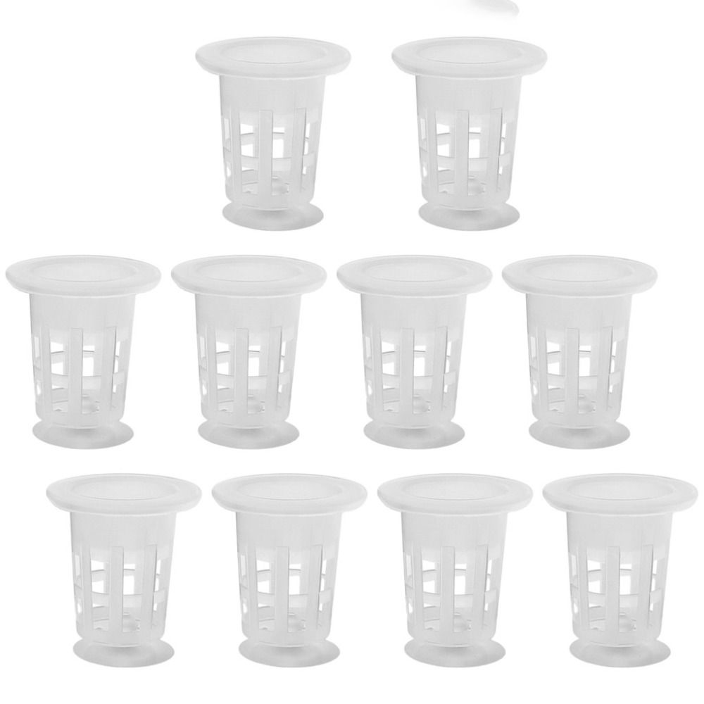 10個入り透明植物水耕栽培ポット、吸盤付きプラスチック製水草 - Plant Aquarium Pot のレビューと価格