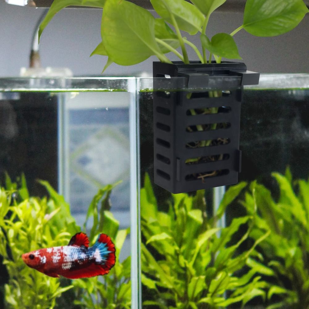 水族館の水槽用植物ホルダー、フックと吸盤付き、水生植物の栽培 - Aquarium Plant Holder のレビューと価格