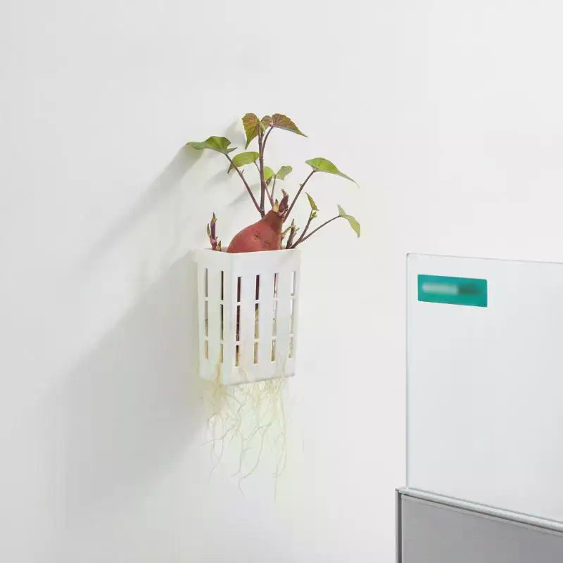水耕栽培用サポートバスケット1個、水槽用植栽カップ、水草水生 - Aquarium Plant Holder のレビューと価格