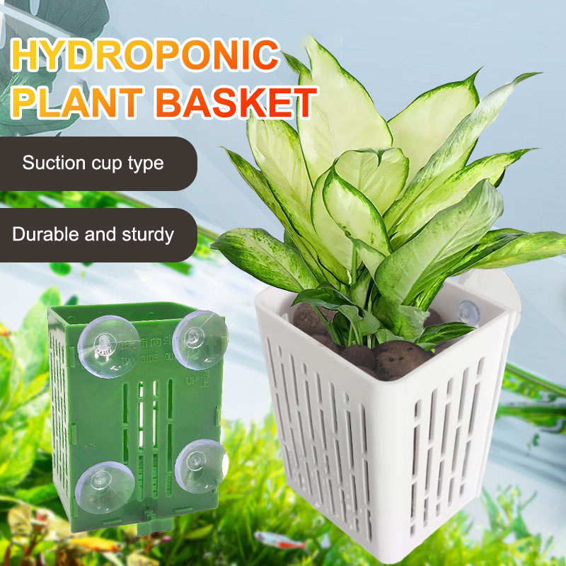 ハンギングサクションカップフック水族館植物ホルダー、プラスチ - Plant Aquarium Pot のレビューと価格