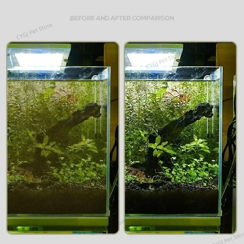 水槽クリーニングツールフラット砂藻類除去デュアルユースガラス - Planted Aquarium Cleaning のレビューと価格