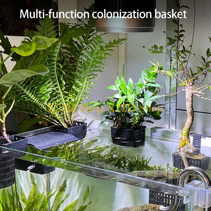 X22D モダン古代スタイル垂直植物ホルダープラスチック壁取 - Plant Aquarium Pot のレビューと価格