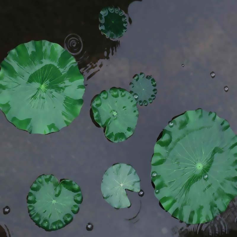 2026年人工水蓮蓮の葉花なし池飾り水槽用浮き蓮の葉庭の魚タ - Aquarium Plant Substrate のレビューと価格