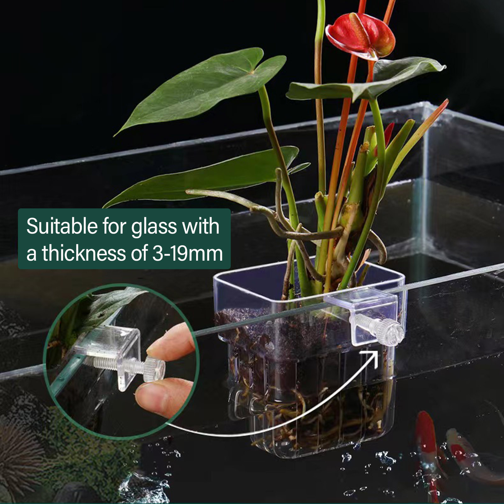 透明アクリル製の植物ホルダー。水槽やアクアリウム用の水耕栽培 - Aquarium Plant Holder のレビューと価格