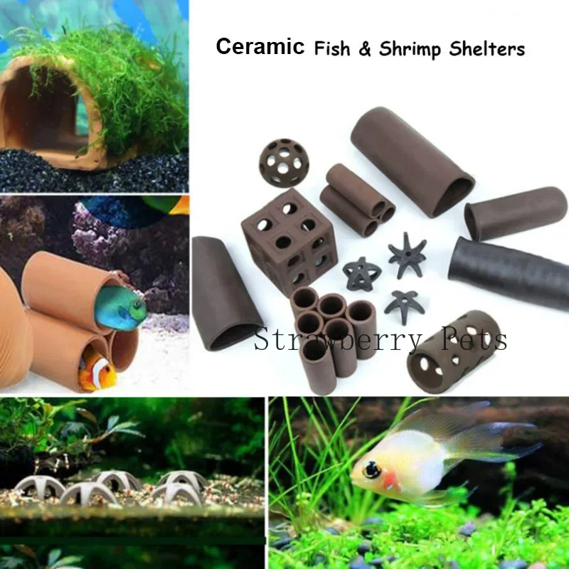 セラミック水族館の装飾魚エビシェルターハウス陶器サソリハウス - Aquarium Plants Live のレビューと価格