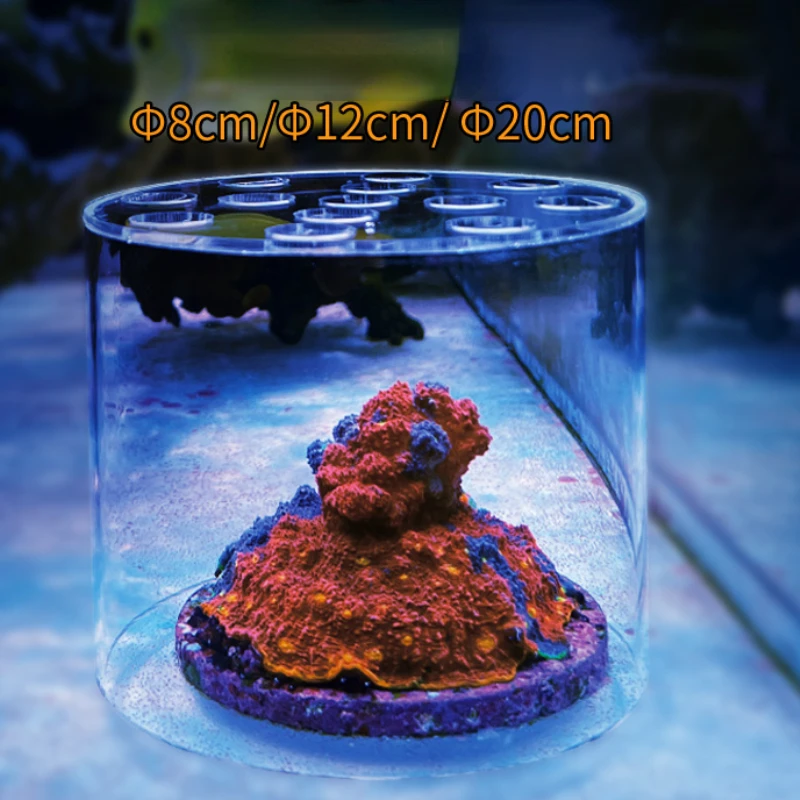 ヴァストオーシャン水族館 アクリル製サンゴフィーダーフード  - Aquarium Fertilizer のレビューと価格