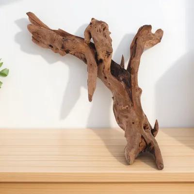 水槽用枯木装飾 20-25cm 天然木工芸品 水槽水中環境用 - Aquarium Driftwood のレビューと価格
