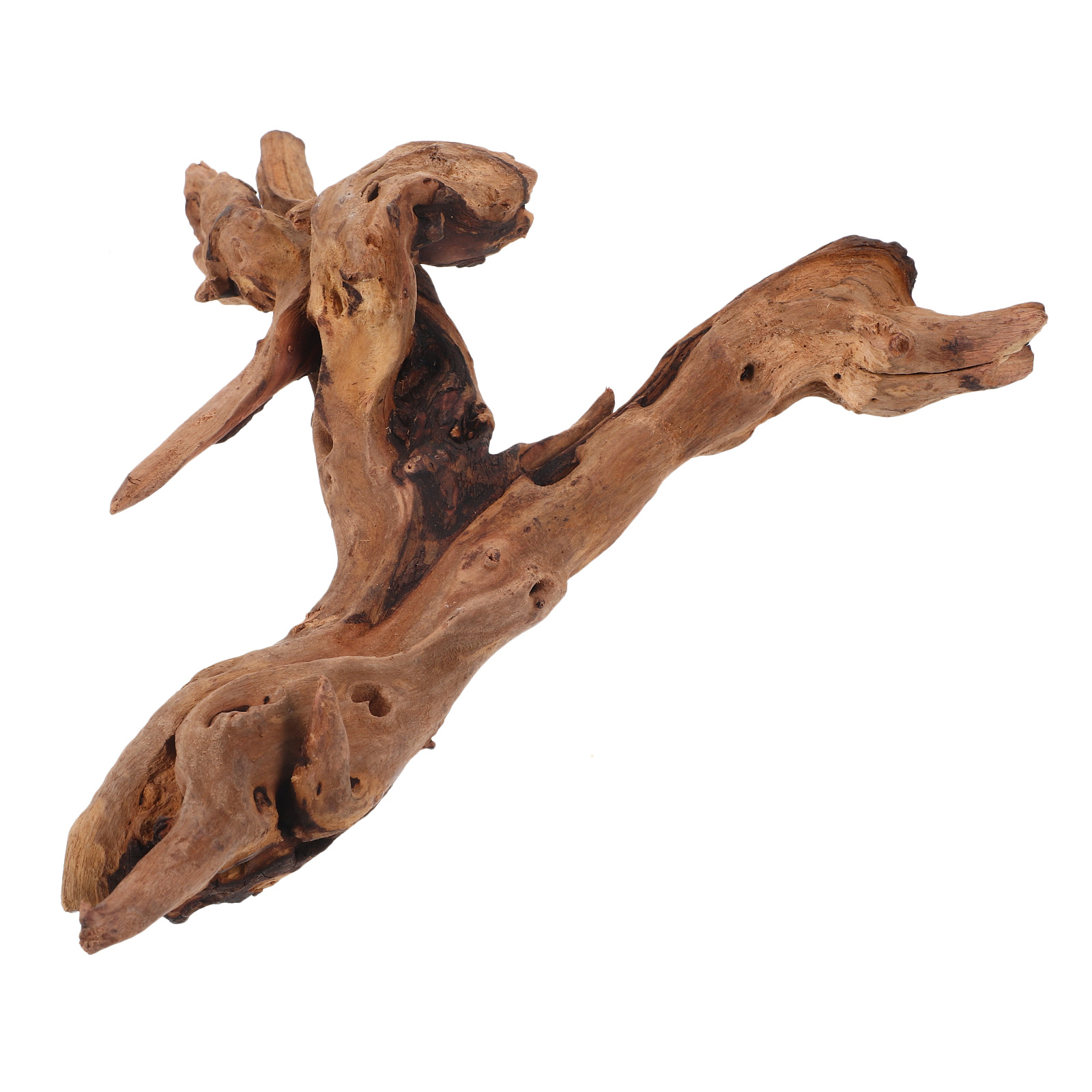水槽用枯木装飾 20-25cm 天然木工芸品 水槽水中環境用 - Aquarium Driftwood のレビューと価格