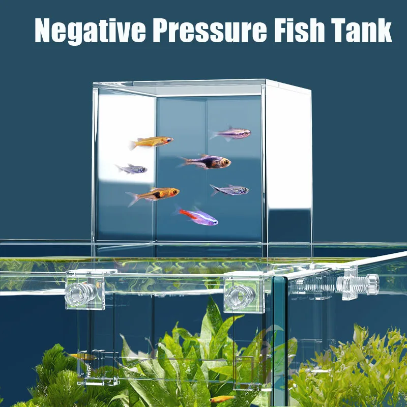 小さな魚のための負の圧力、創造的な装飾、エコロジカル水族館、 - Plant Aquarium Pot のレビューと価格