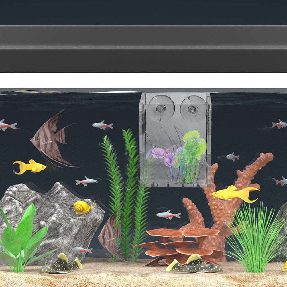 水槽用植物ホルダー3個入り。透明な吊り下げ式プランターカップ - Plant Aquarium Pot のレビューと価格