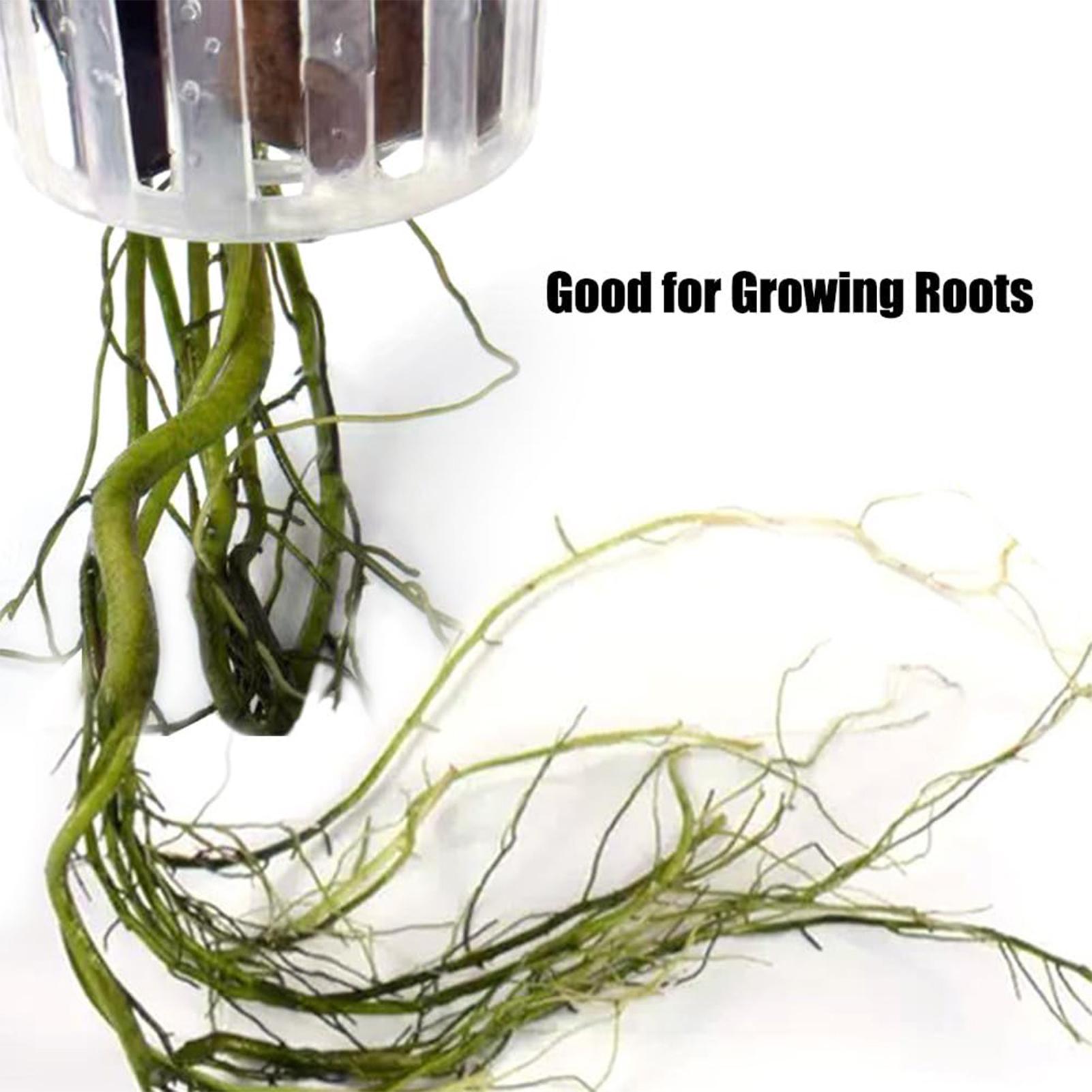 穴あきで吊り下げ可能な水草ホルダー2個入り。水槽の装飾用、水 - Plant Aquarium Pot のレビューと価格