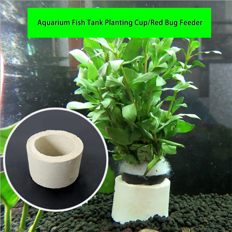 水槽装飾セラミックリング、水槽植物固定ポット、水玉水生植物、 - Plant Aquarium Pot のレビューと価格