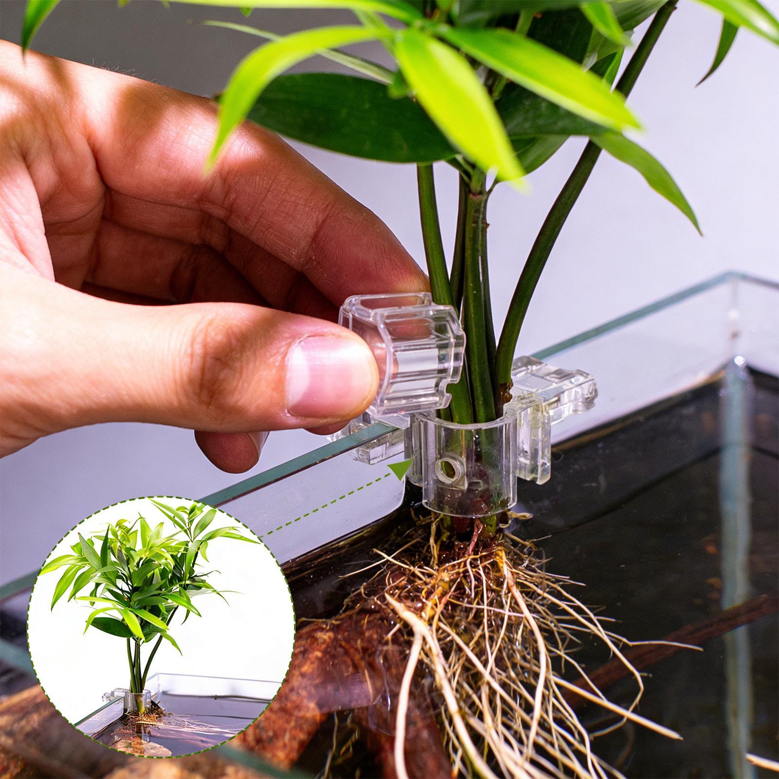 6 個の水族館植物ホルダー透明植栽ブラケット吊り下げ可能な植 - Aquarium Plants Live のレビューと価格