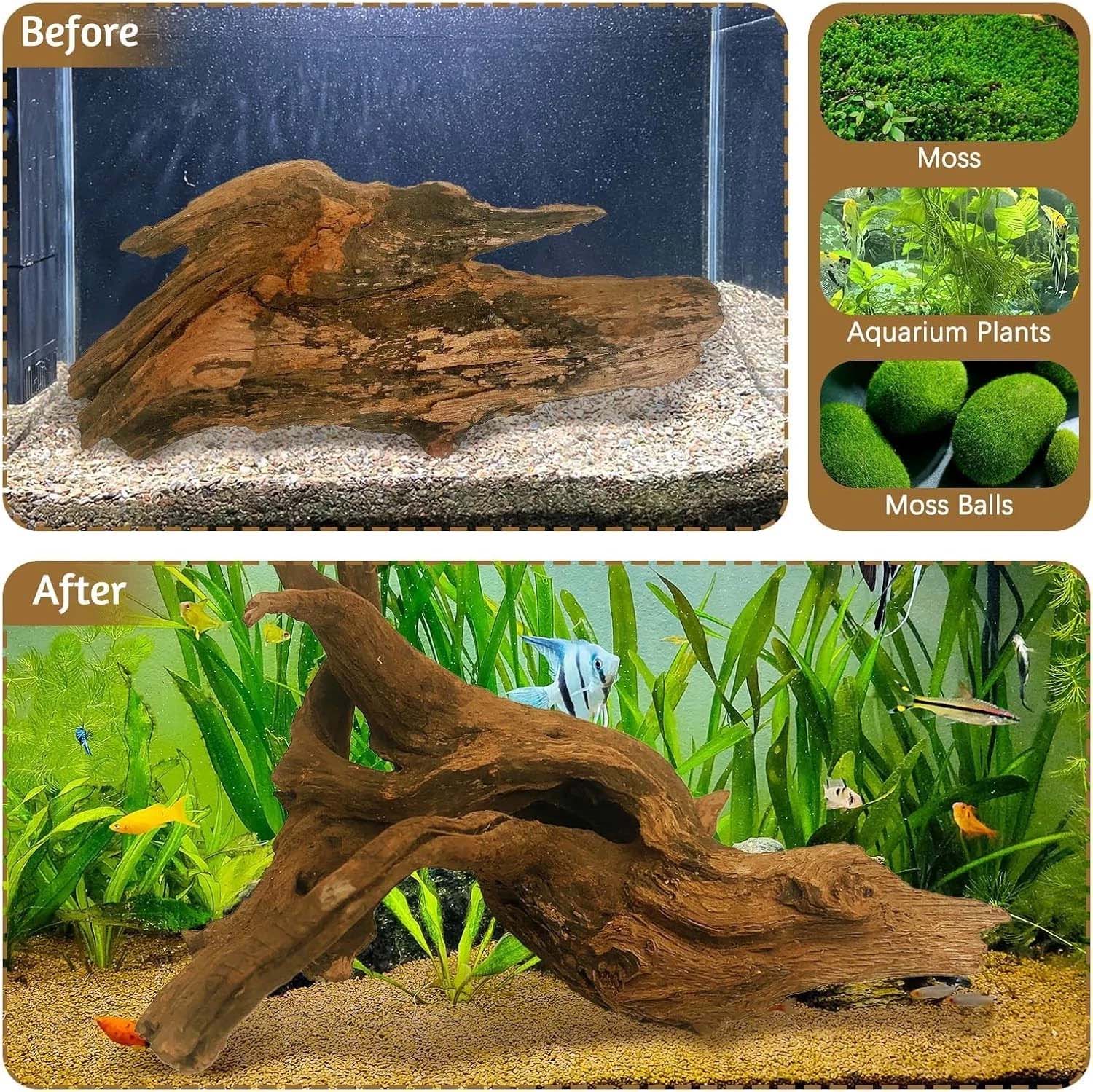 15-20CM 1個入り 天然流木 コーラルリーフ装飾 木製 - Aquarium Plants Live のレビューと価格