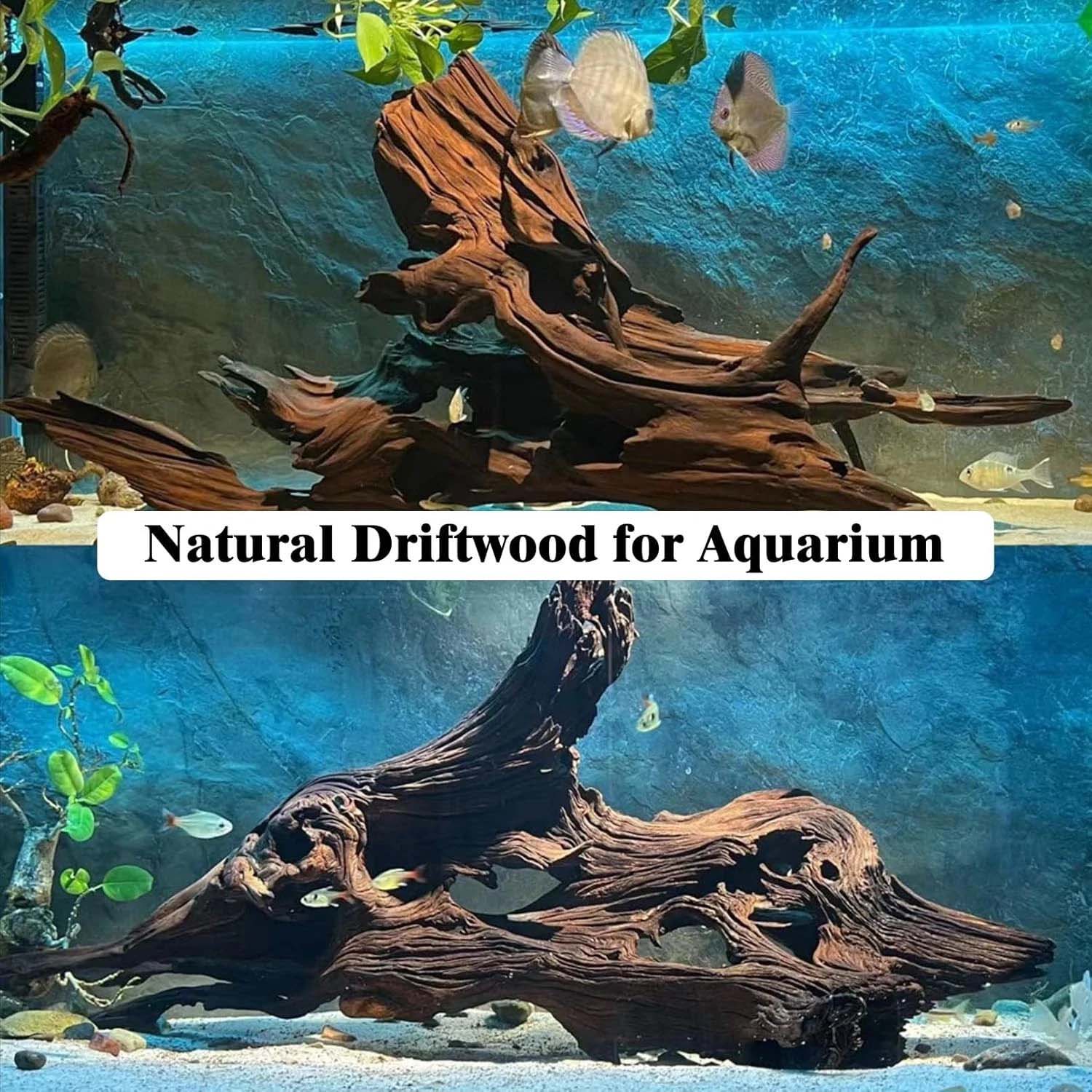 15-20CM 1個入り 天然流木 コーラルリーフ装飾 木製 - Aquarium Plants Live のレビューと価格