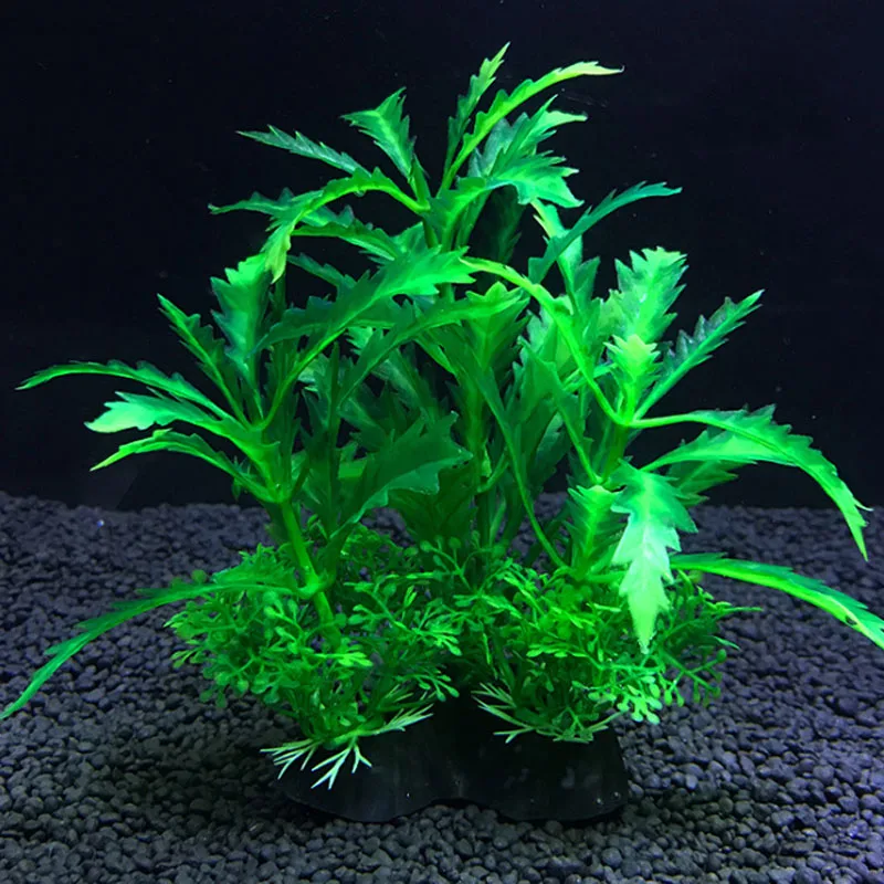 水族館人工装飾植物シミュレーション水雑草飾り水槽植物水雑草水 - Live Plant Aquarium のレビューと価格