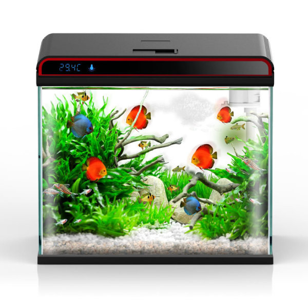 サンサン 4-in-1 水槽ウォーターコンディショナー -  - Planted Aquarium Algae Control のレビューと価格