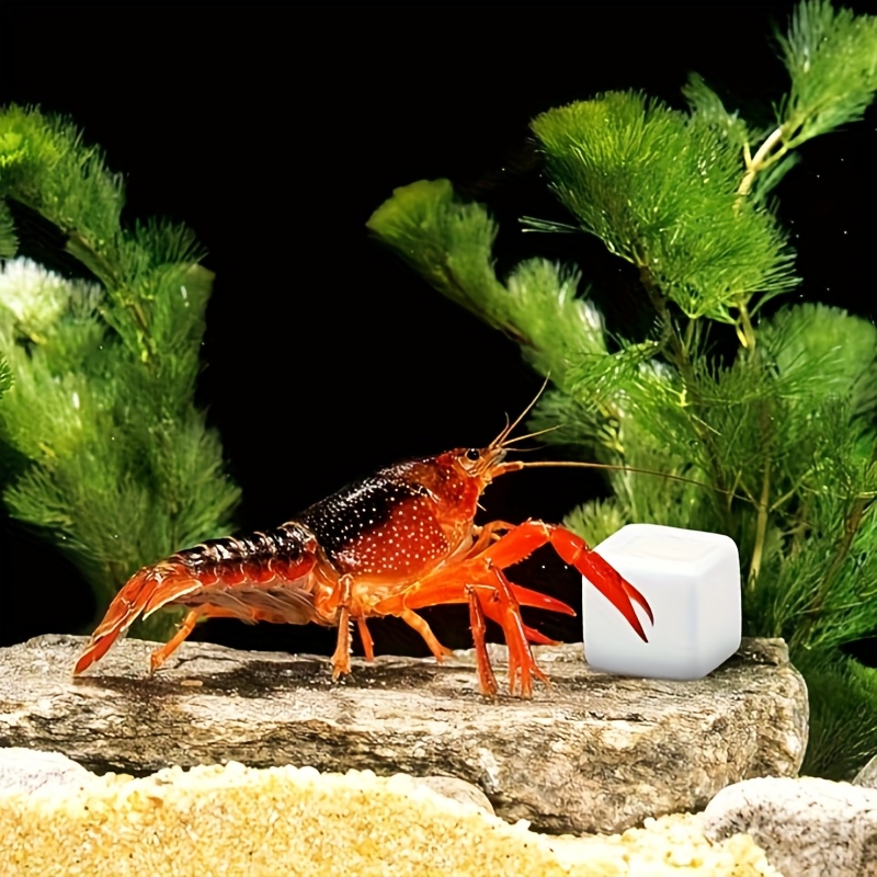 6個入り 魚タンク用カルシウムブロック ミネラル アクアリウ - Aquarium Plants Live のレビューと価格