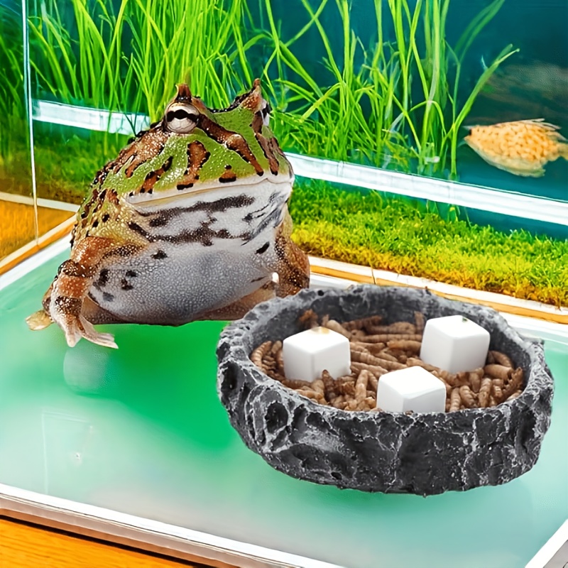 6個入り 魚タンク用カルシウムブロック ミネラル アクアリウ - Aquarium Plants Live のレビューと価格