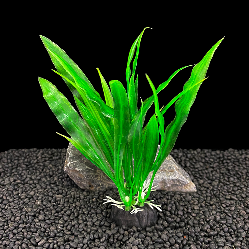 水槽用観葉植物6個入りセット。家庭用およびオフィス用の水槽装 - Aquarium Plants Live のレビューと価格